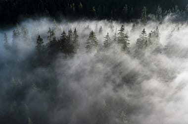 Thumbnail for 7017897