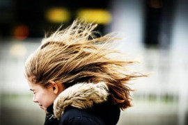 Thumbnail for 7018054