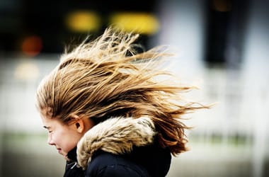 Thumbnail for 7018054