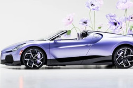 Thumbnail for 7018169