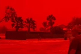 Thumbnail for 7018302