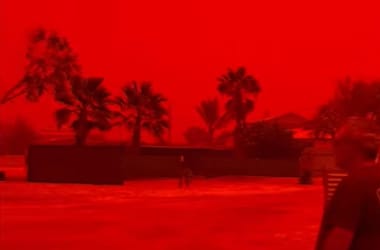 Thumbnail for 7018302