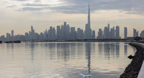 Thumbnail for 7018561