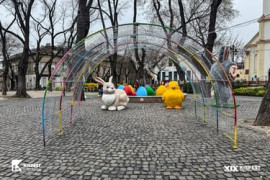 Thumbnail for 7019022