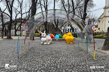 Thumbnail for 7019022