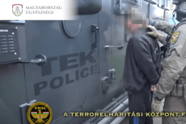 Thumbnail for 7019040