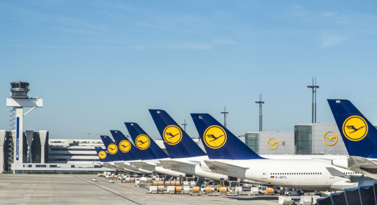 Thumbnail for 7019344