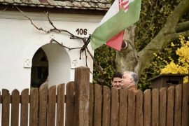 Thumbnail for 7019420