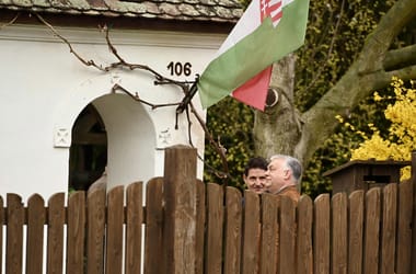 Thumbnail for 7019420