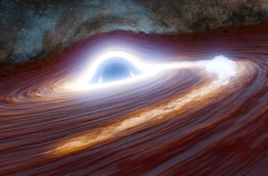 Thumbnail for 7019476