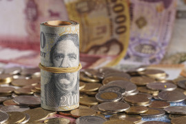 Thumbnail for 7019509