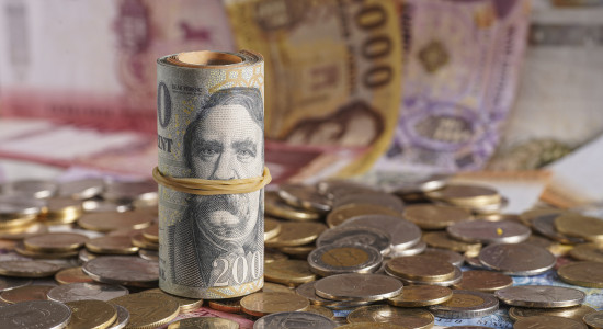 Thumbnail for 7019509