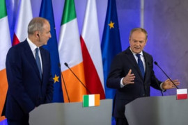 Thumbnail for 7019535