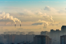 Thumbnail for 7019603