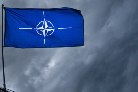 Thumbnail for 7019671