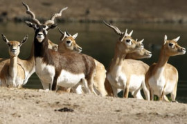 Thumbnail for 7019692