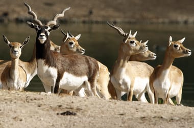 Thumbnail for 7019692