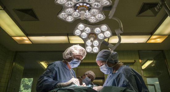 Thumbnail for 7019864