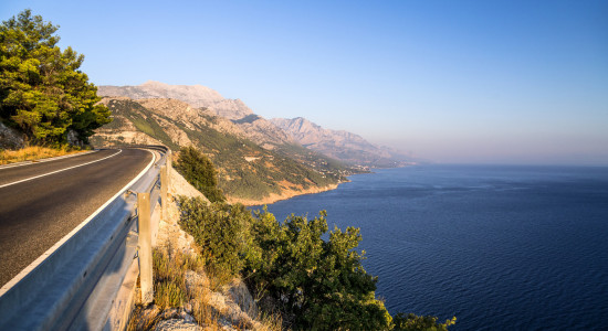 Thumbnail for 7019943