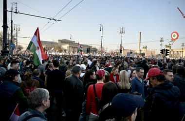 Thumbnail for 7019964