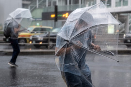 Thumbnail for 7019985