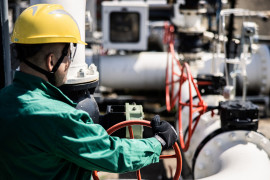 Thumbnail for 7020071