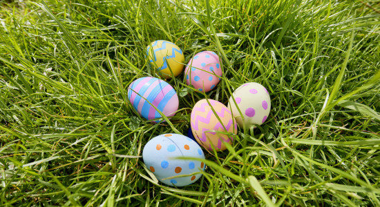 Thumbnail for 7020206