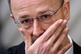 Thumbnail for 7020488