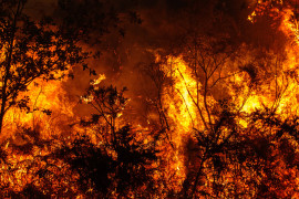 Thumbnail for 7020493