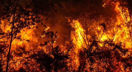 Thumbnail for 7020493