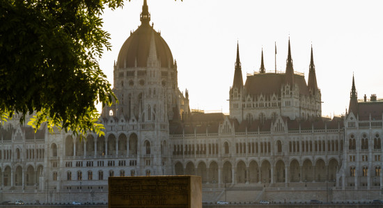 Thumbnail for 7020665