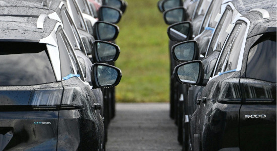 Thumbnail for 7020834