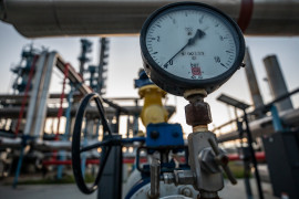 Thumbnail for 7020983