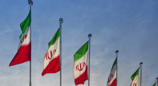 Thumbnail for 7021224