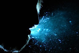 Thumbnail for 7021252