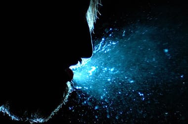 Thumbnail for 7021252