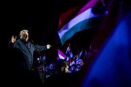 Thumbnail for 7021364