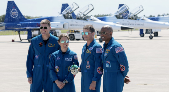 Thumbnail for 7021391