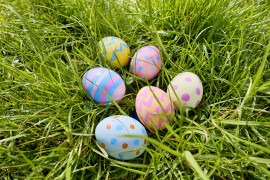 Thumbnail for 7021850