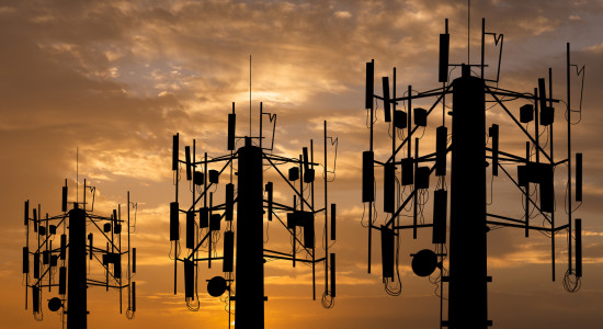 Thumbnail for 7021860