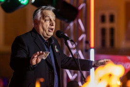 Thumbnail for 7022081