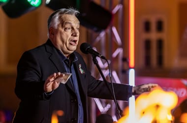 Thumbnail for 7022081