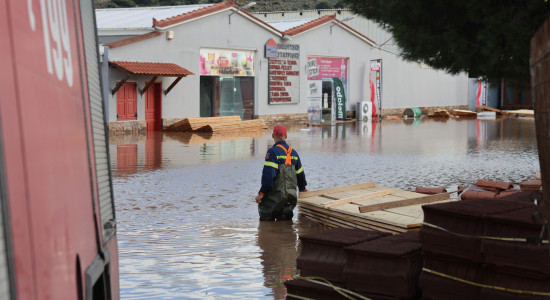 Thumbnail for 7022118