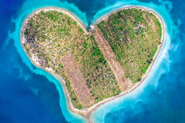 Thumbnail for 7022305