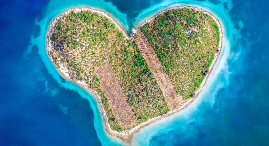 Thumbnail for 7022305