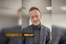 Thumbnail for 7022328