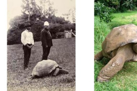 Thumbnail for 7022461