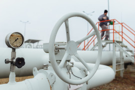 Thumbnail for 7022544