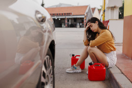 Thumbnail for 7022576