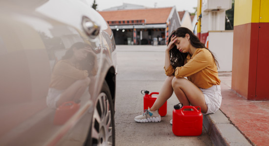 Thumbnail for 7022576